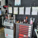 노스게러지 이미지