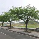 송이조각공원 화장실 이미지