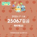 Cat garden | 원더리벳 2025 (DAY 1-3)