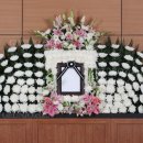 구성꽃백화점 이미지