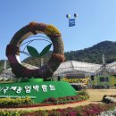 다향울림촌 | 2019 국제농업박람회 관람후기 박람회장 속 보성이야기(시리즈2)