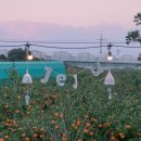 헬로반디 이미지