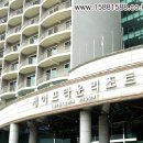 땅끝 노래연습장 Daum카페