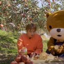 햇님농장 이미지