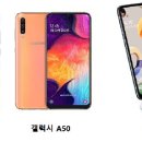 스마트폰 활용 사진+동영상 촬영 IT동아