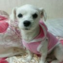 곰달래약국 이미지