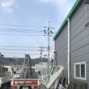 효자약국 이미지