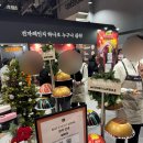 (주)동원홈푸드 하나원 | 컬리푸드페스타 2025 꿀팁 및 오후 입장 후기🔥