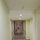 중문통나무가족호텔 | 제주 중문 부영 호텔 가족숙소추천 아이랑 프리미엄 스위트 이용후기