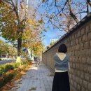 수인임업 | 2022년 서울문학기행 마지막 이육사 광야편(청량리역,홍릉숲,문화공간이육사 등)