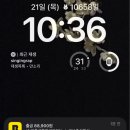 한빛목장 | 성심당 샤인이랑멜론 케이크 대전 DCC점 방문 구매 후기 주차 정보까지🚗