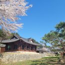 경포자전거여행 티스토리