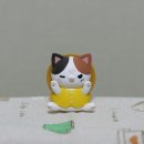 에이스냥 이미지