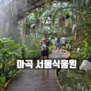 씨유(마곡13단지점) | 마곡 서울식물원,7개월 아기와 한여름 나들이 대환장 땀 샤워 솔직 후기