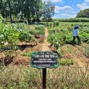 이재형농장 이미지