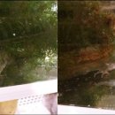 주주(ZOO ZOO) 이미지