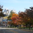 새천년로 이미지