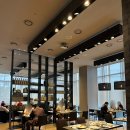 신스테이 | 서울 가성비 호텔 신라스테이 구로 조식 뷔페 후기