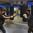 필복싱짐 이미지