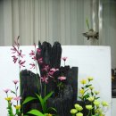 도교2교 이미지