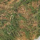 제철태권도 이미지