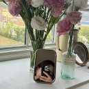 미미메종 | 서산 숙소 [ 미미메종 ] 감성 독채숙소 유럽느낌 에겐녀숙소 추천