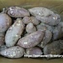 상마농장 이미지