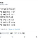 양궁 개인전 일정 이미지