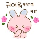 카페달토끼 이미지