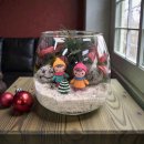 반안초등학교 | 경주 원예치료, 초등학교 정서지원 프로그램 &#39;친구랑 나랑 테라리움&#39;