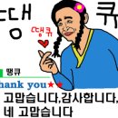 돈스마레 이미지