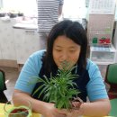 산격중학교 이미지