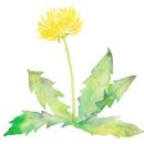 (초등고)하브루타 이미지