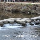 마라톤헬스클럽 | [리뷰] 다이어트엔 러닝, 러닝 필수템은 무릎보호대! <클럽유니>