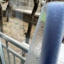 아파트 일층 창문 썬팅, 썬스코 반사 유리 필름 후기