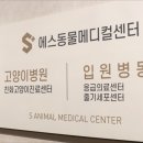 24시 수 동물메디컬센터 이미지