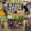 드림파크 이미지