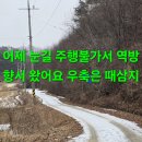 5년만에 찾은 상황버섯 산행.228 이미지