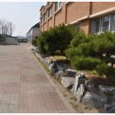 동탄초등학교 이미지