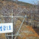 고령군농업기술센터 이미지