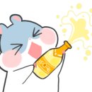 쵸이스송