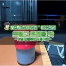 가온트래블