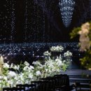 보타닉파크웨딩 이미지