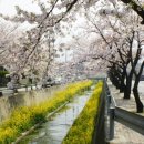 덕산성당 앞 이미지