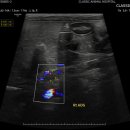 탄현동물병원 이미지