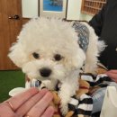 별빛상회 | 부산 하단 고기집 [장미상회 하단점]실내에서 캠핑느낌 즐기면서 맛있는 꼬들항정부터 해물된장찌개까지...