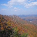 구봉산 Daum카페