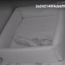 북치농장 이미지