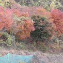 호애농장 이미지