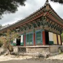 동화사 - 세종특별자치시 | 동화사